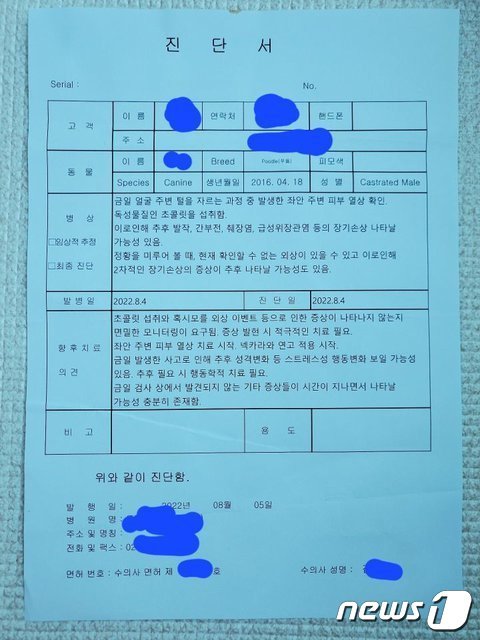 본문 이미지 - (온라인 커뮤니티 갈무리)