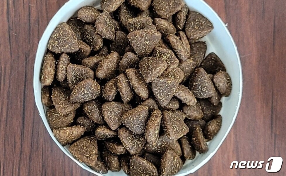 본문 이미지 - 건국대와 엔딕 연구팀이 개발한 고양이 비만 예방 사료(엔딕 제공)