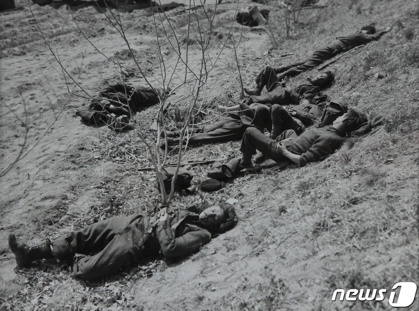 본문 이미지 - 잠든 영국군인 모습.(유엔평화기념관 제공)