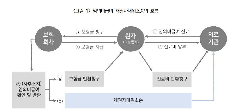 본문 이미지 - 임의비급여 채권자대위소송의 흐름(보험연구원 보고서 발췌)