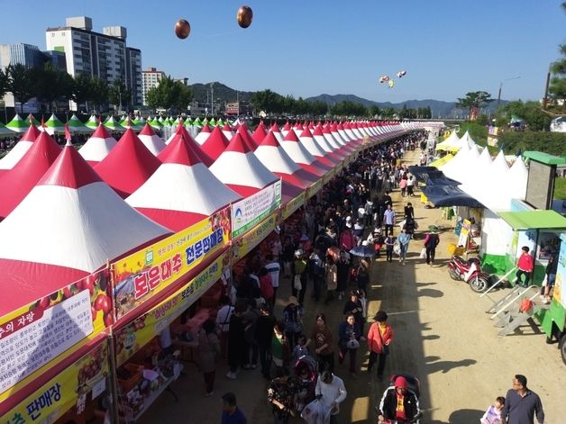 보은대추축제 행사 안내 콜센터 운영…10~20일