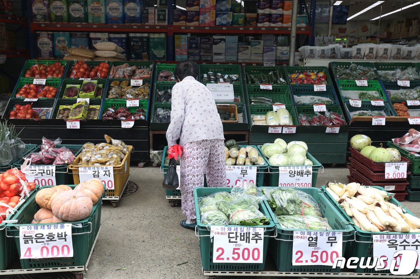 29일 오전 대구 동구 평화시장에서 한 시민이 연일 고공행진을 이어가는 채솟값 앞에 선뜻 지갑을 열지 못한 채 망설이고 있다. 2022.8.29/뉴스1 ⓒ News1 공정식 기자