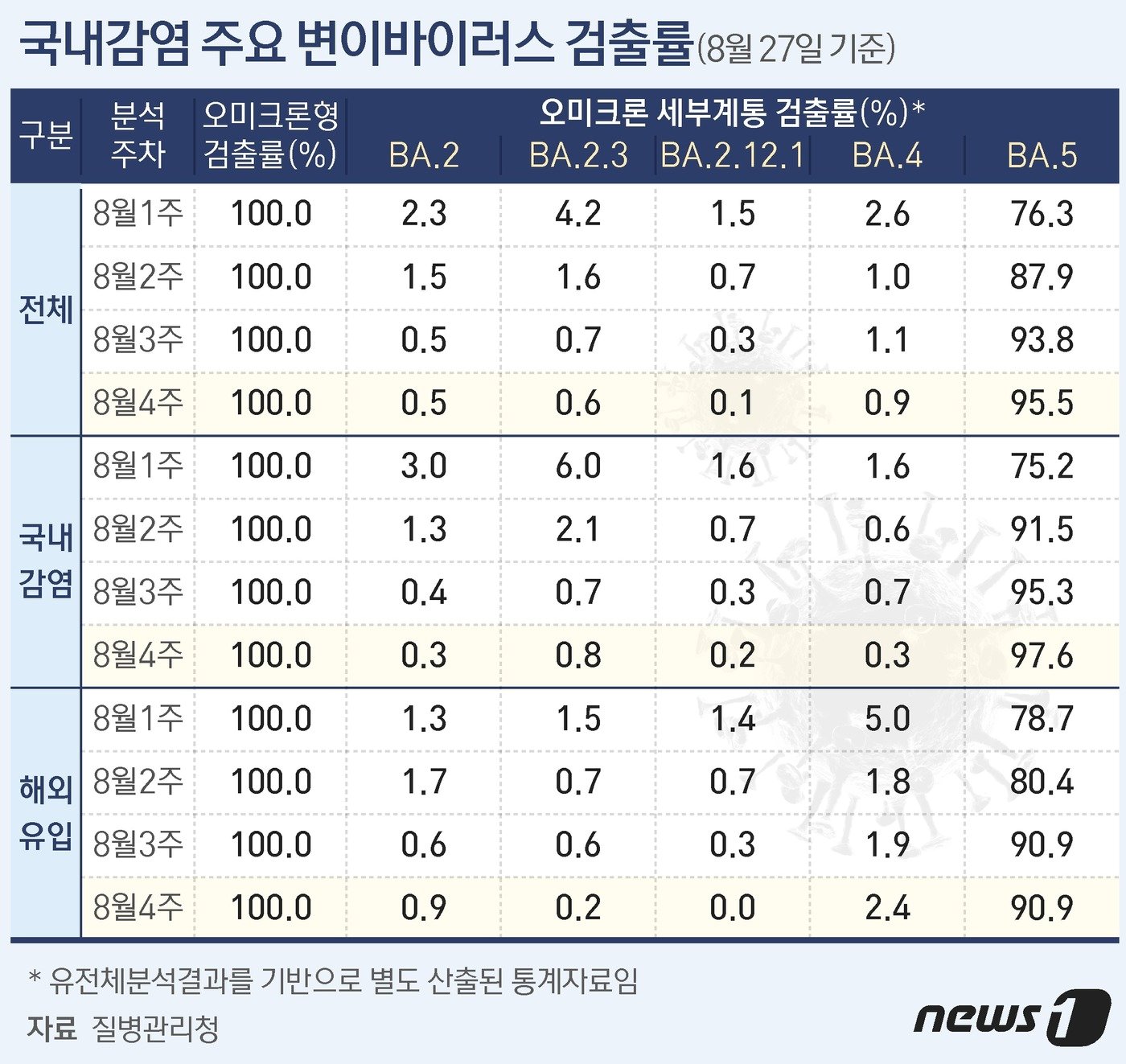 변이 바이러스 검출률 ⓒ News1 김초희 디자이너