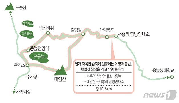 본문 이미지 - ⓒ News1 윤주희 디자이너
