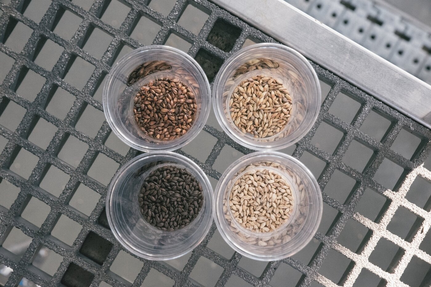 본문 이미지 - 양조장 안에서 양조설비 사이를 직접 거닐며 생생한 관찰과 질문을 할 수 있다&#40;맥파이 브루잉 컴퍼니 제공&#41;ⓒ 뉴스1