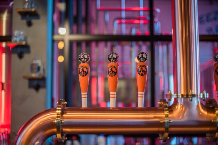 본문 이미지 - 춘천의 관광 명소로 떠오르는 브루펍인 스퀴즈 브루어리&#40;스퀴즈 브루어리 제공&#41;ⓒ 뉴스1