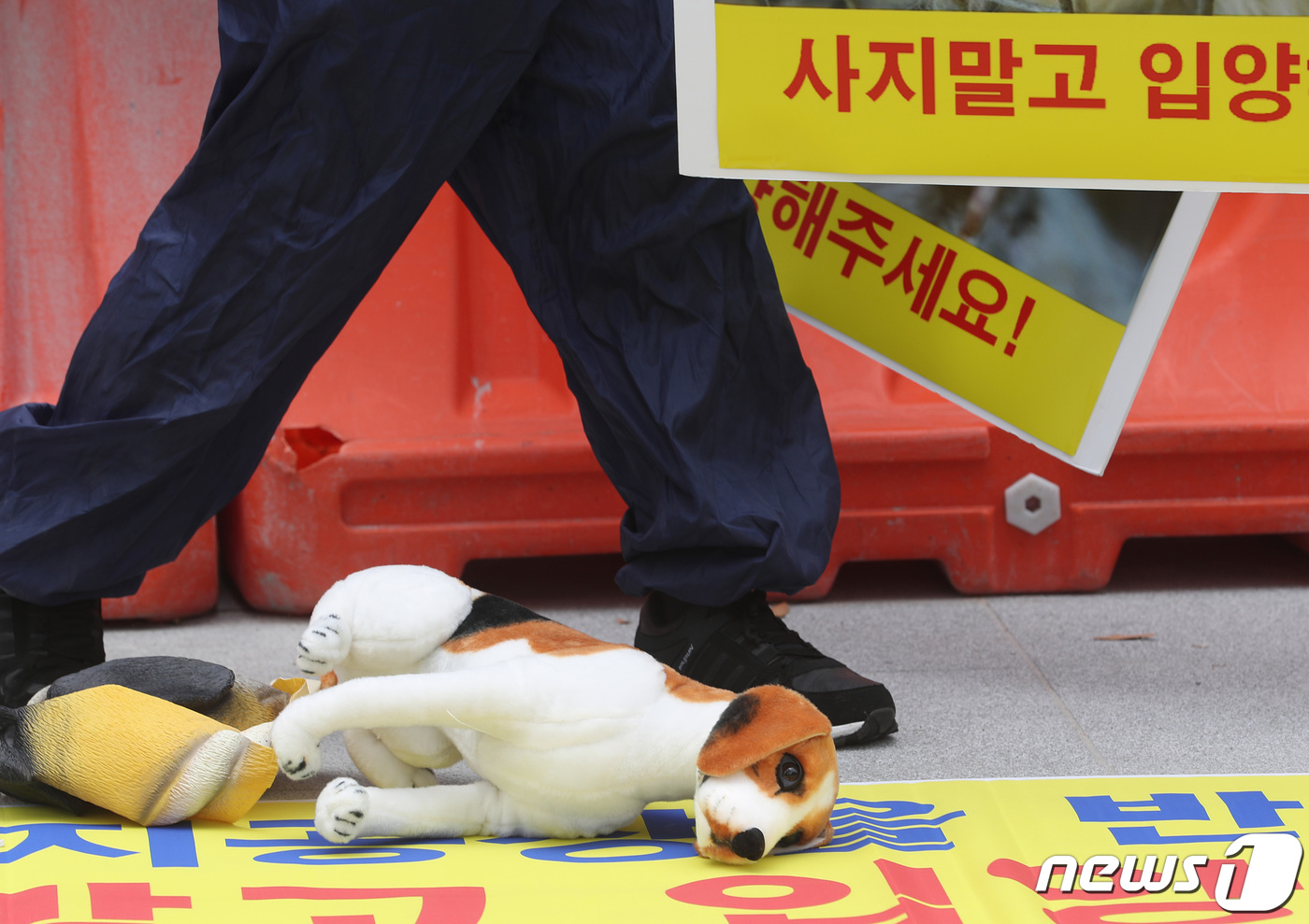 (서울=뉴스1) 이성철 기자 = 한국동물보호연합이 4일 오후 서울 종로구 광화문광장에서 강아지 공장 반대 퍼포먼스를 진행하고 있다. 2022.8.4/뉴스1