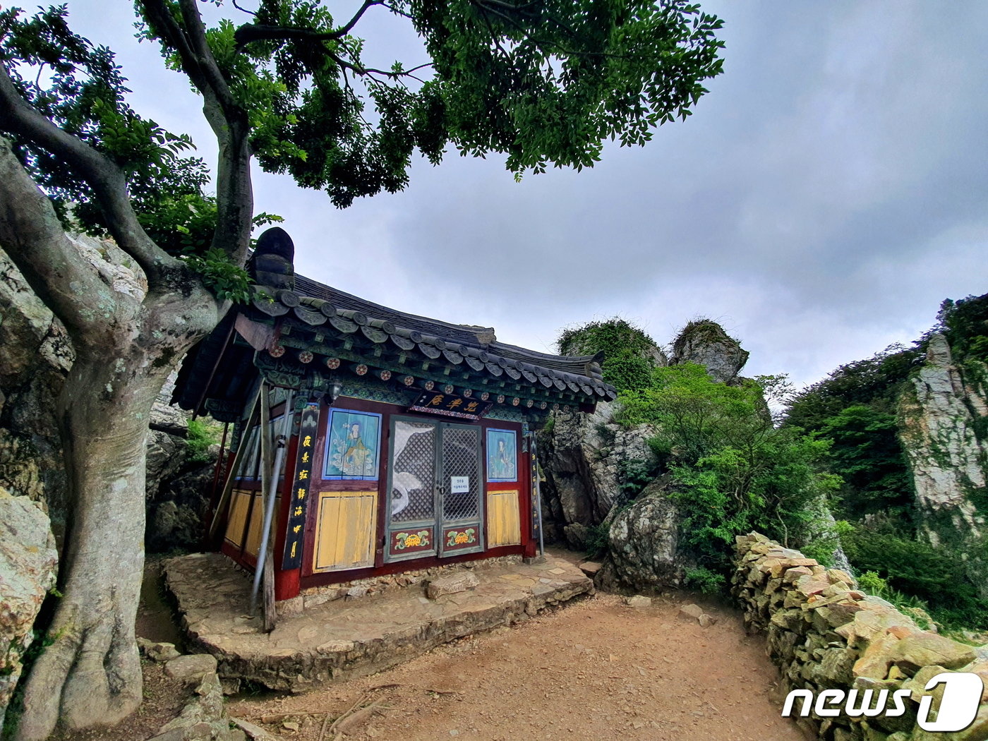 본문 이미지 - 도솔암과 팽나무. 팽나무 고목과 암자가 서로 기대어 고독을 달래는 풍경 ⓒ 뉴스1