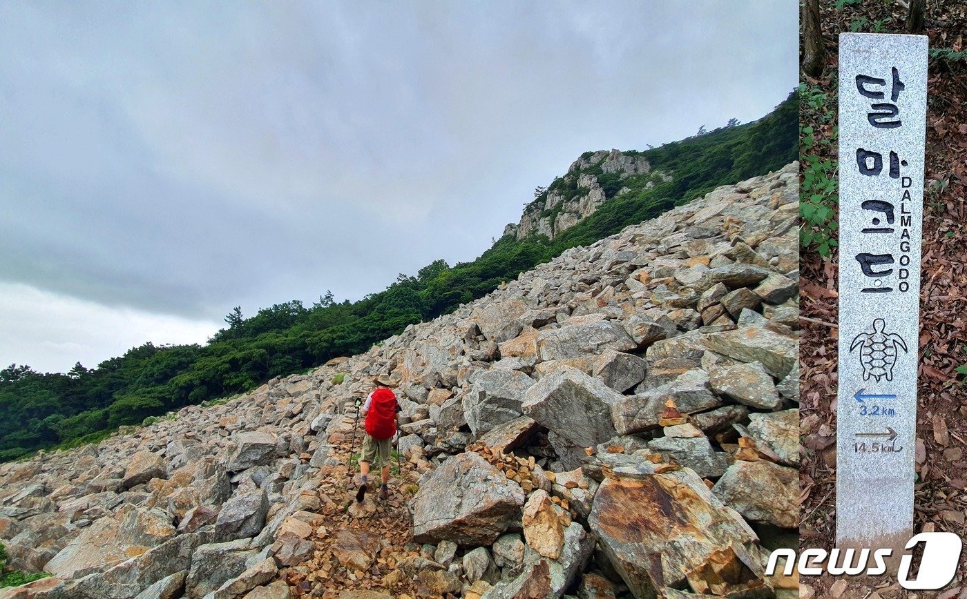 본문 이미지 - 달마고도 4구간의 너덜길. 산 꼭대기 거대한 바위들이 얼고 녹고, 부서지고 쪼개져 흘러내린 파편들. 물처럼 흘러가는 돌이다. 오른쪽은 달마고도 표지판 ⓒ 뉴스1