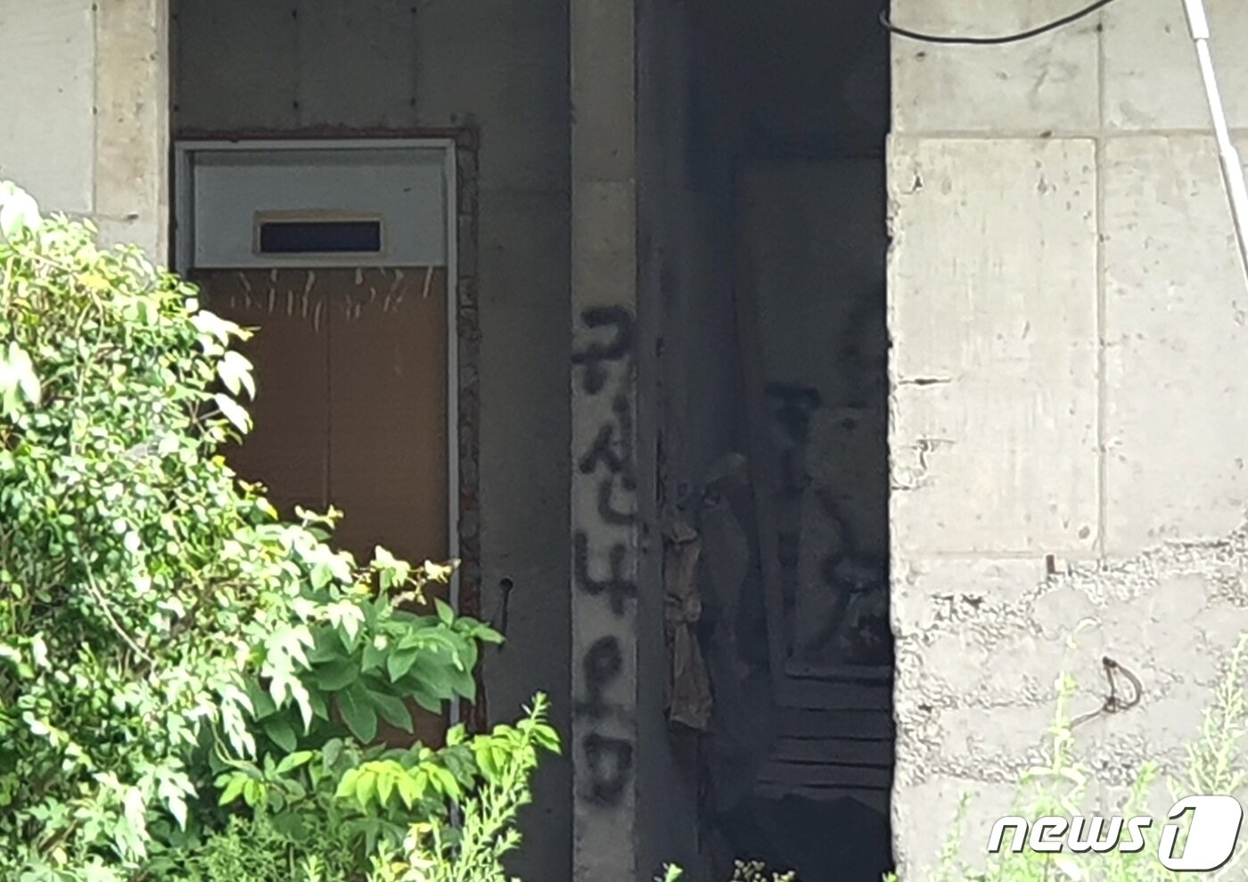 본문 이미지 - 폐건물 내부에 적힌 낙서들.2022.8.4/ⓒ 뉴스1 노경민 기자