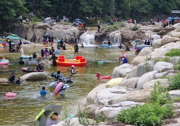 캠핑 안전·관광 두 마리 토끼…강원도, 야영장 사업 80건 선정