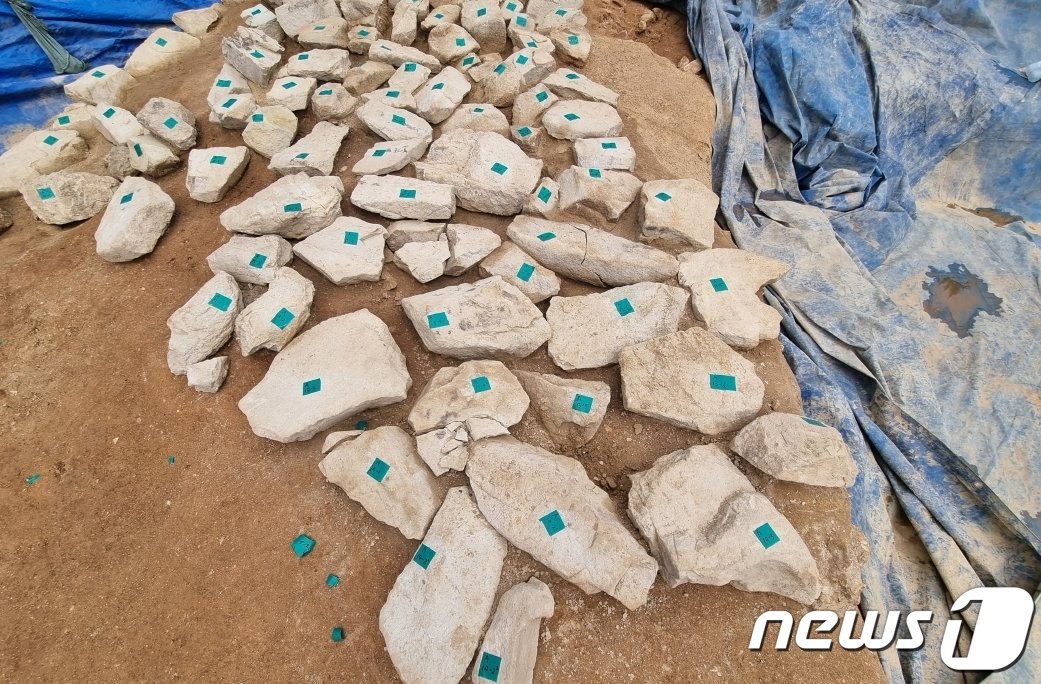 본문 이미지 - 구산동 지석묘의 박석. 지석묘(고인돌)과 같은 시기에 축조된 것으로 추정된다. (김해시 제공) ⓒ 뉴스1