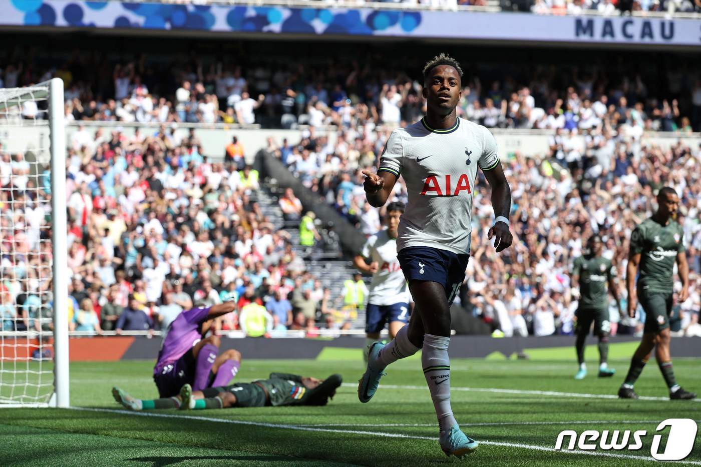 본문 이미지 - 라이언 세세뇽 ⓒ AFP=뉴스1