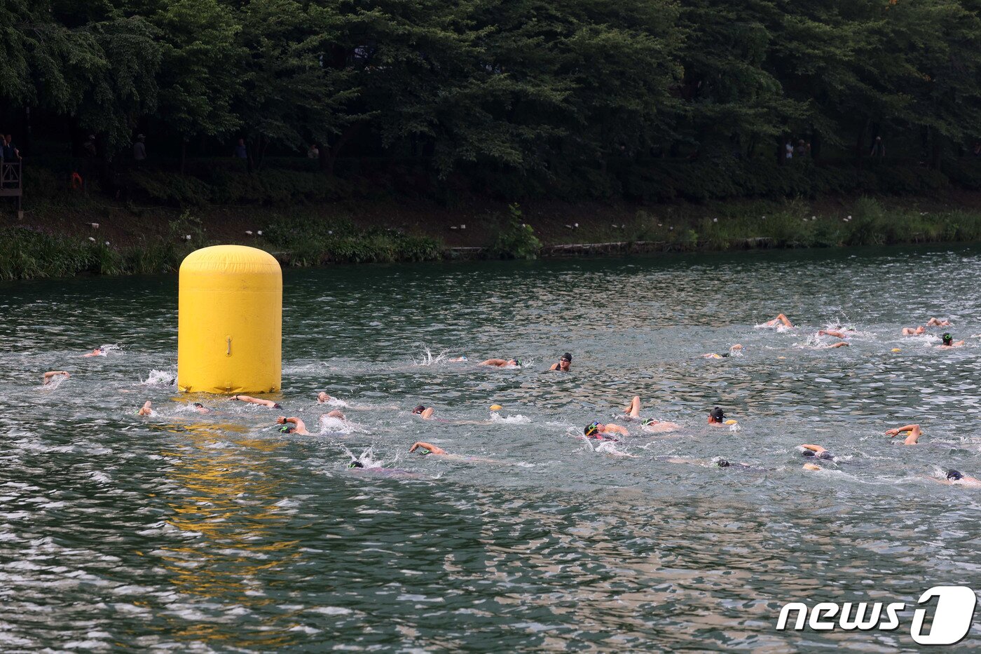 본문 이미지 - 7일 오전 서울 송파구 석촌호수와 롯데월드타워에서 열린 '2022 LOTTE Oe Race'에서 참가자들이 수영을 하고 있다.  (공동취재)2022.8.7/뉴스1 ⓒ News1 박세연 기자