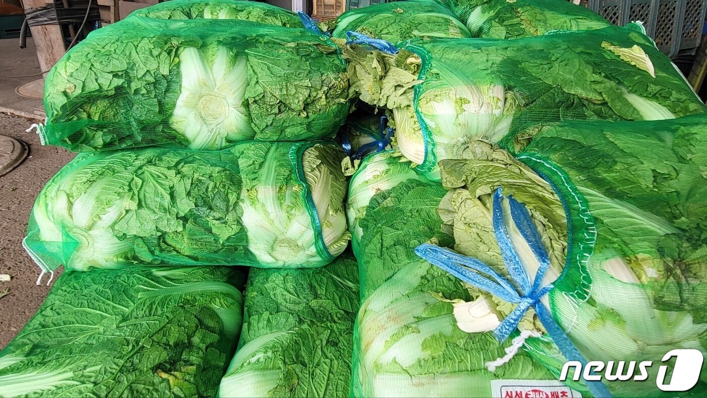 格安即決 沖縄県産 冷凍すっぽん 四つ切り 甲羅 内臓つき 不定貫0 7 1kg Mediquickfl Com