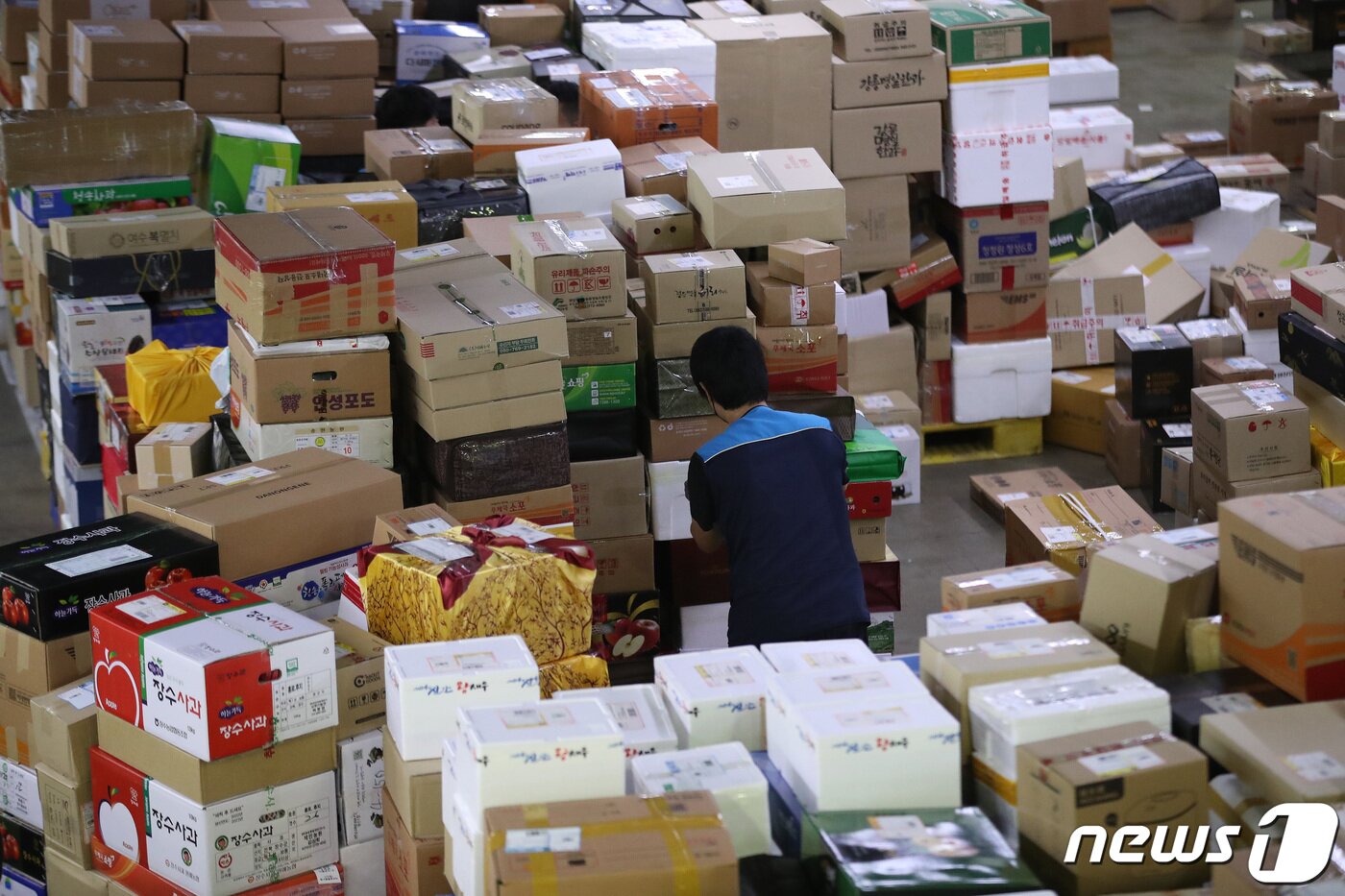 본문 이미지 - 추석 명절을 앞둔 1일 오전 서울 광진구 동서울우편물류센터에서 집배원 등 직원들이 택배를 분류하고 있다. 올 추석 명절 소포우편물은 약 1,917만개가 접수될 것으로 예상되고 있다. 2022.9.1/뉴스1 ⓒ News1 임세영 기자