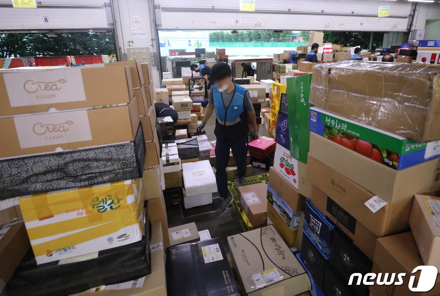 본문 이미지 - 추석 명절을 앞둔 1일 오전 서울 광진구 동서울우편물류센터에서 집배원 등 직원들이 택배를 분류하고 있다. 올 추석 명절 소포우편물은 약 1,917만개가 접수될 것으로 예상되고 있다. 2022.9.1/뉴스1 ⓒ News1 임세영 기자