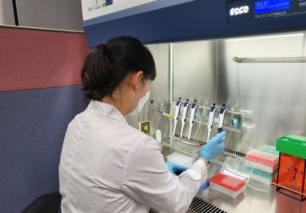 전남 무안 'AI 이동제한' 해제 정밀검사…"바이러스 잔류 확인"