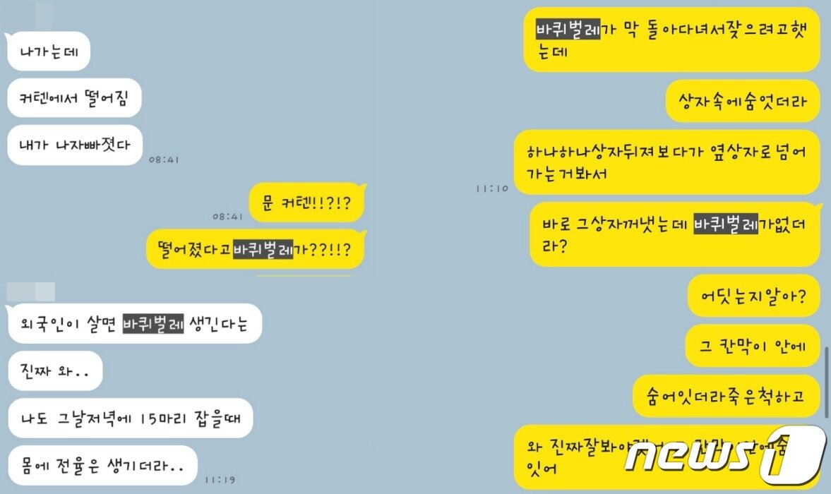 본문 이미지 - (온라인 커뮤니티 갈무리)