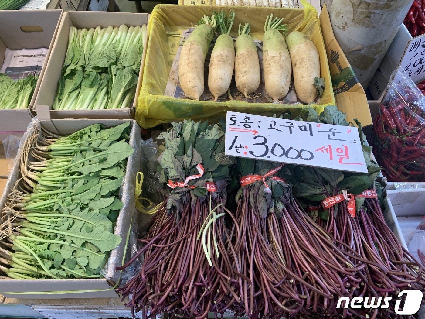 1일 서울 동대문구 제기동 경동시장에서 시민들이 장을 보고 있다 ⓒNews1 김성식 수습기자