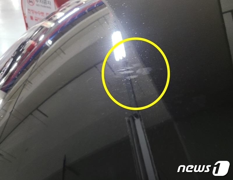 본문 이미지 - ('보배드림' 갈무리)