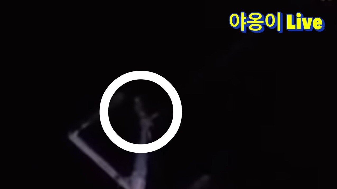 본문 이미지 - 수리부엉이가 고양이를 위협한다고 판단한 유튜버가 짱돌로 수리부엉이를 쫓아냈다고 밝혔다. (유튜브 갈무리)