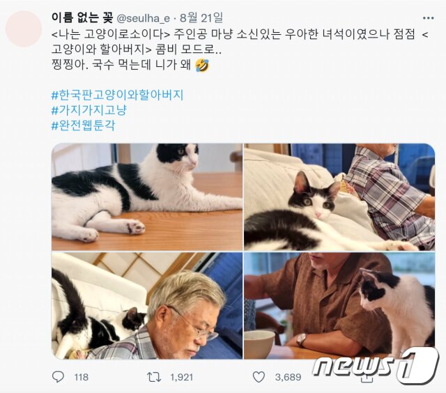 본문 이미지 - 다혜씨가 지난달 21일 트위터에 올린 문재인 전 대통령과 반려묘 ‘찡찡이’ 사진. (문다혜씨 트위터 캡처)2022.9.14/뉴스1