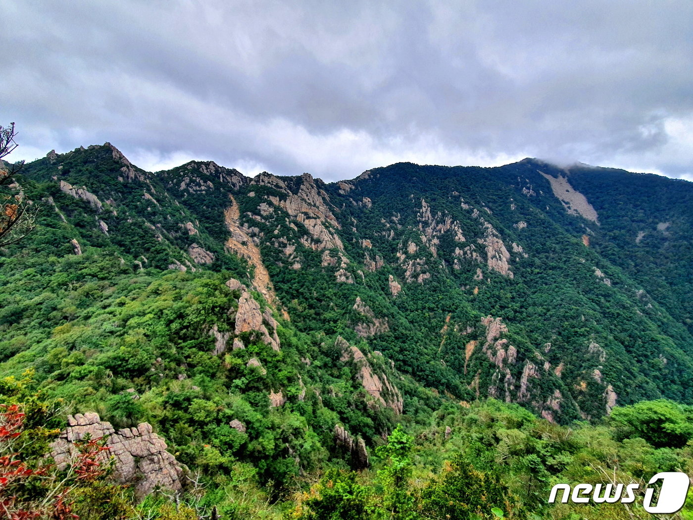 본문 이미지 - 오르막 중간에서 서북능선을 올려다 본다. 언제 왼쪽 끝에 올라서서, 언제 오른쪽 끝을 통과해, 이 능선만큼을 더 걸어 대청봉까지 갈 것인가?