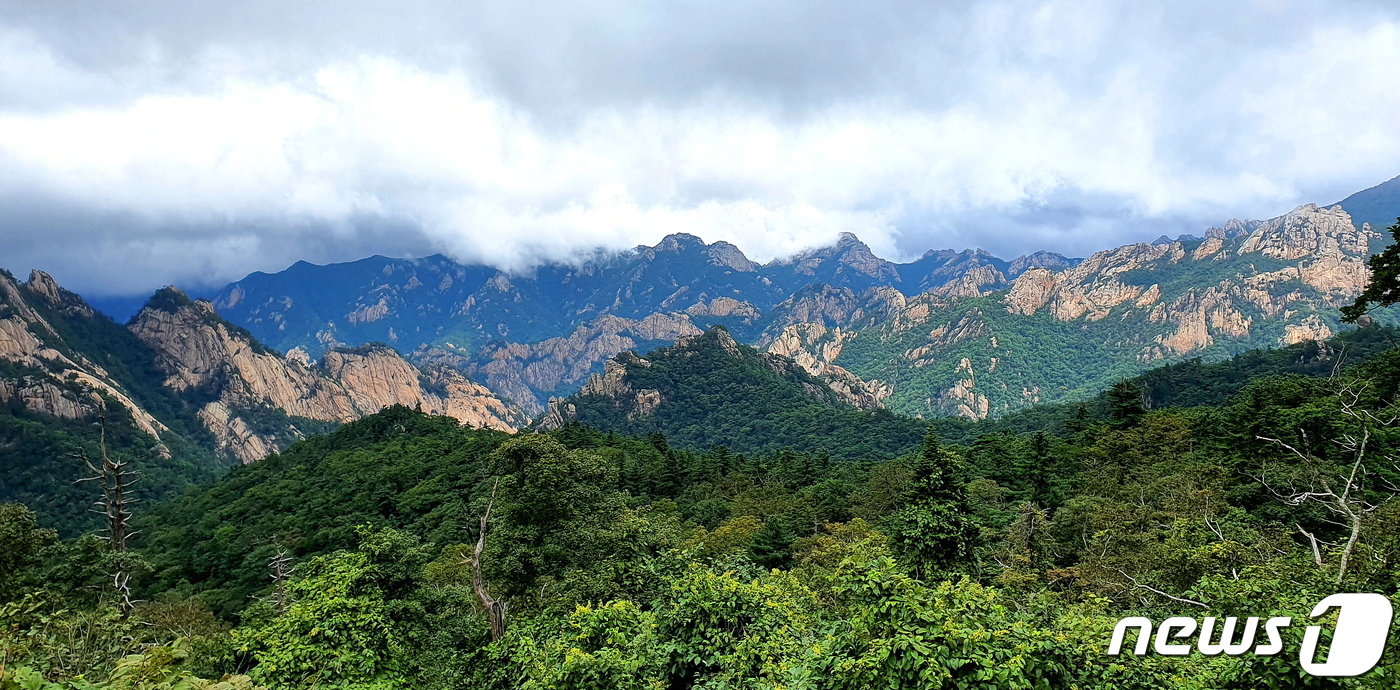 본문 이미지 - 서북능선의 한계령삼거리에서 본 내설악 비경. 멀리 공룡능선의 봉우리들을 구름이 덮고 있다.