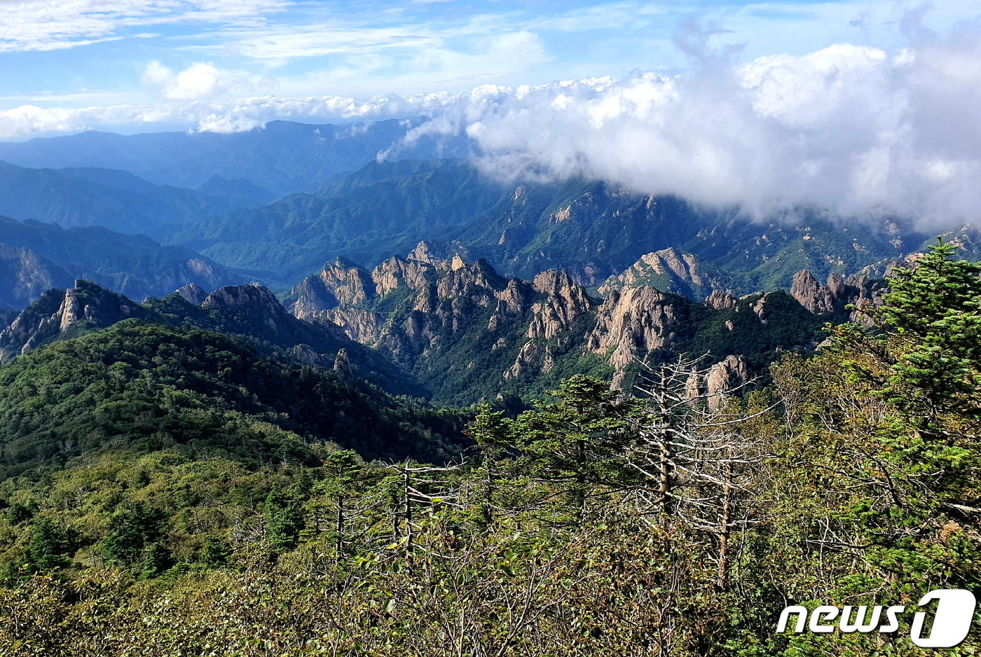 본문 이미지 - 끝청에서 바라본 내설악. 용아장성 바위능선이 뾰족뾰족한 가운데, 공룡능선은 구름에 잠겼다. 구름이 사라지면 맨 끝에 금강산 라인이 나타난다.