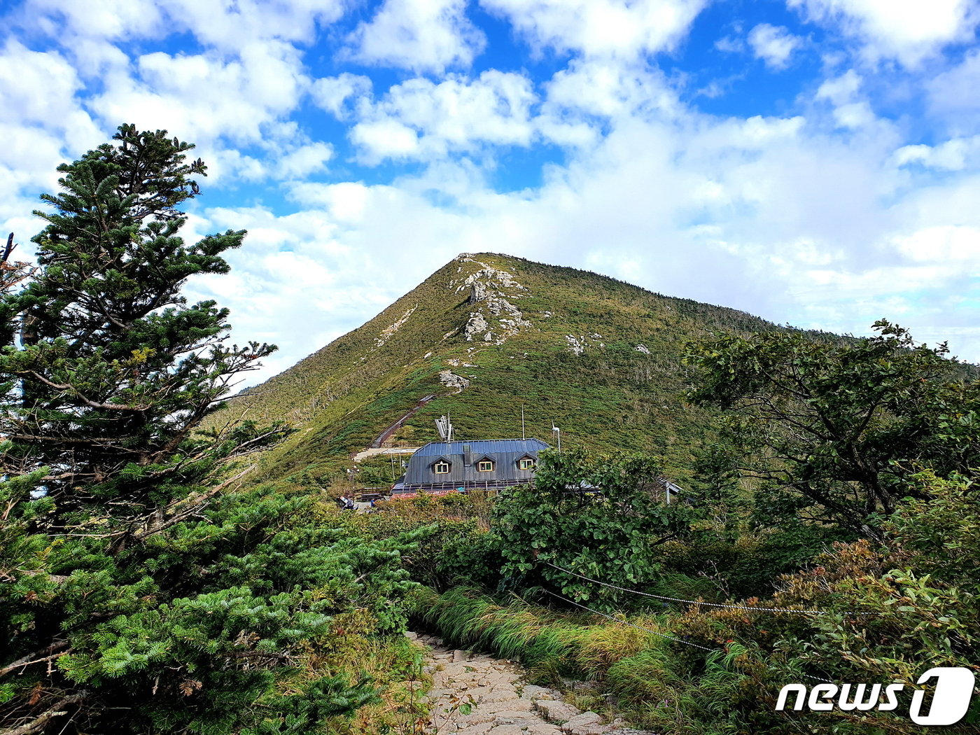 본문 이미지 - 고산지대 식물인 분비나무가 수문장처럼 서있는, 중청대피소와 대청봉 풍경.