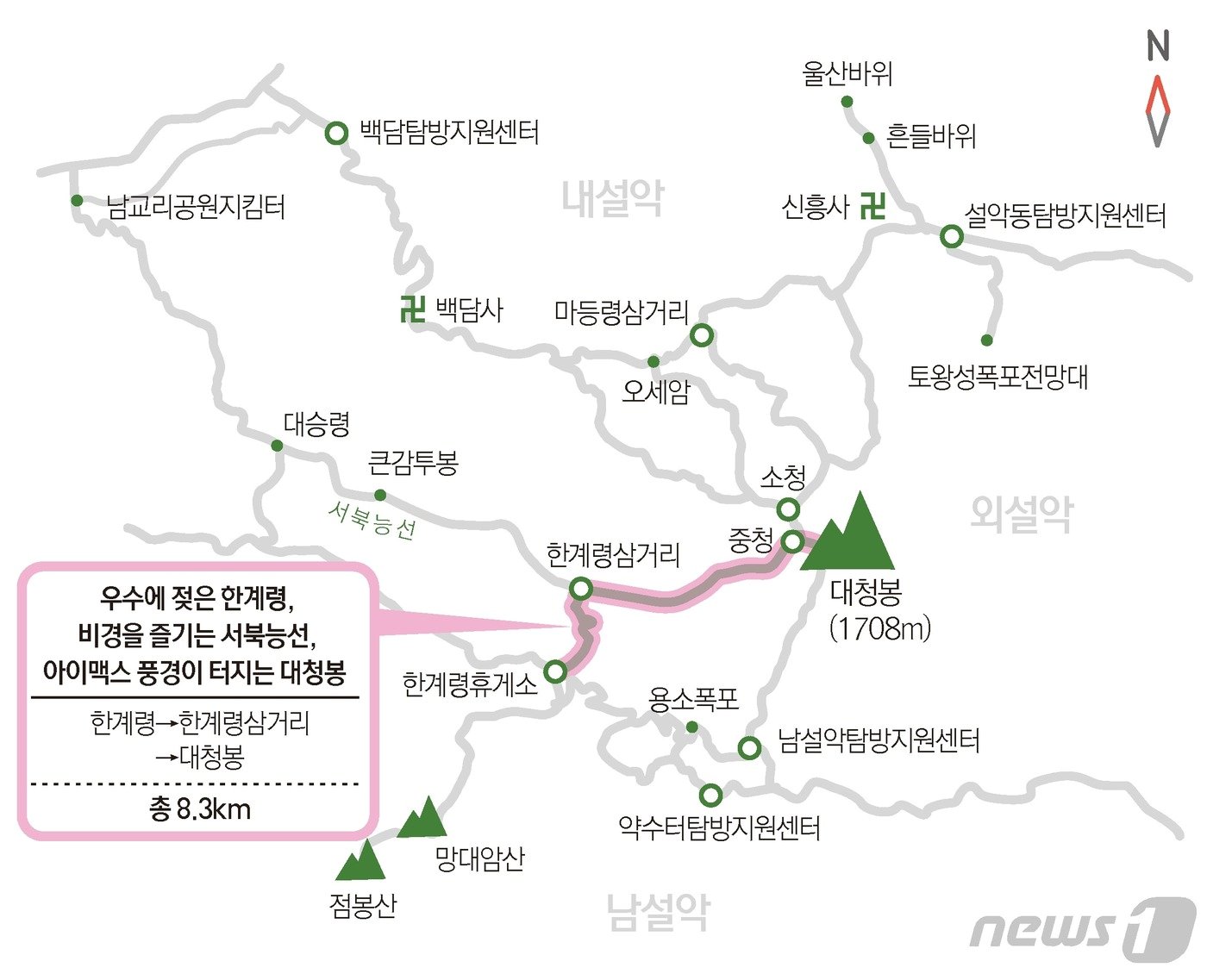 본문 이미지 - ⓒ News1 윤주희 디자이너