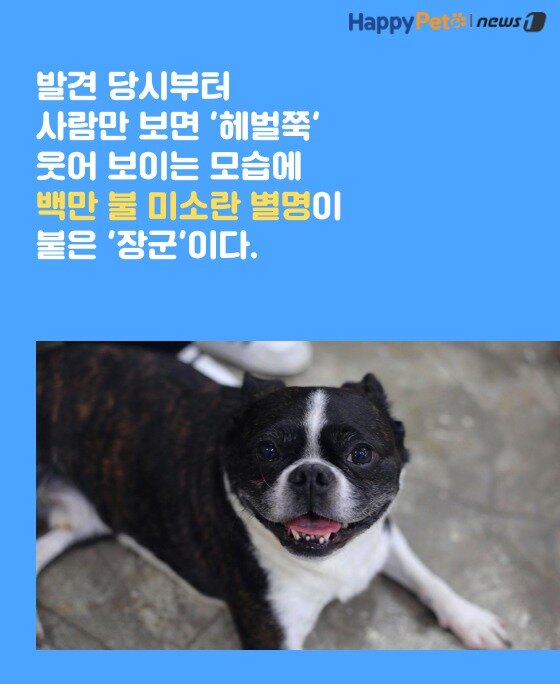본문 이미지 -  