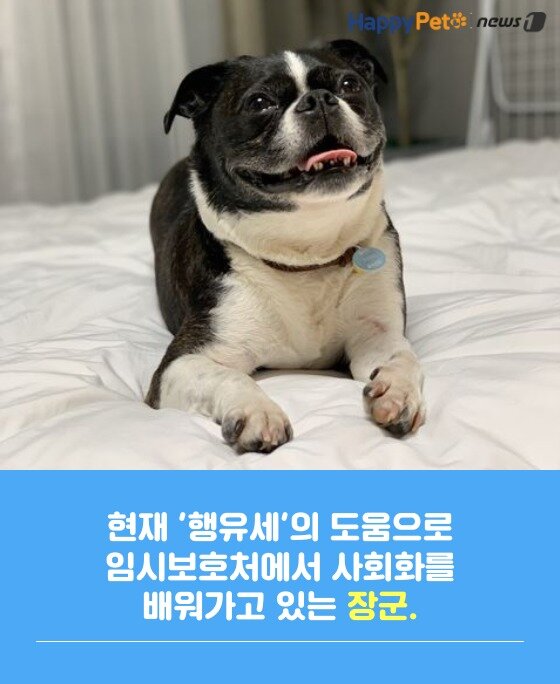 본문 이미지 -  