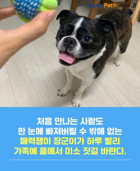 본문 이미지 -  