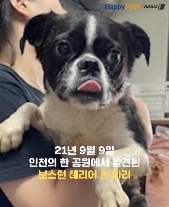 본문 이미지 -  