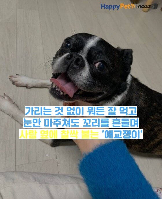 본문 이미지 -  