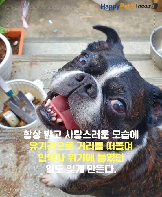 본문 이미지 -  