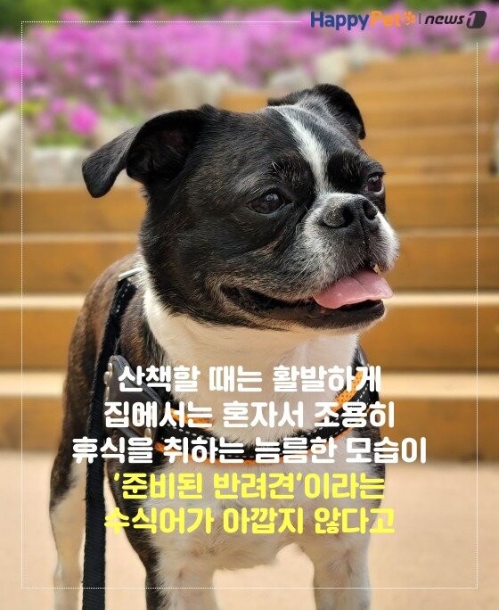 본문 이미지 -  