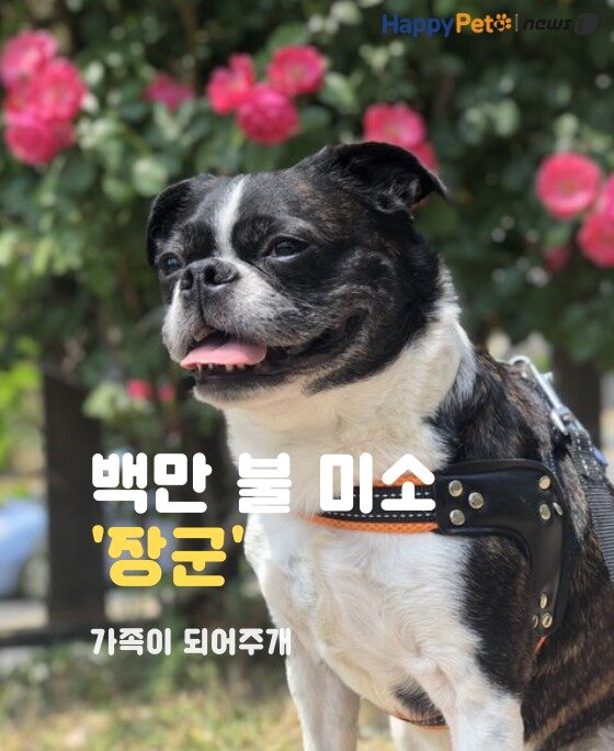 본문 이미지 -  