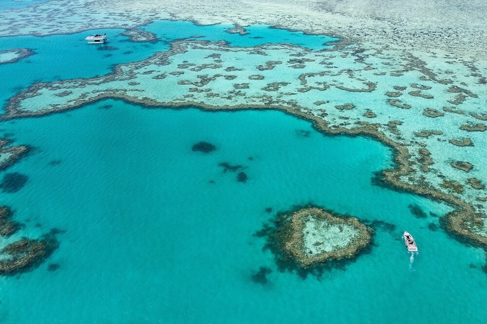본문 이미지 - 하트 리프(호주관광청 제공)