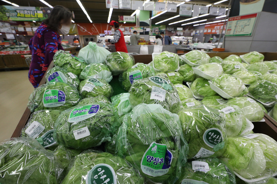 이상 기후에 또다시 '양상추 대란'…햄버거·샌드위치 업계 비상