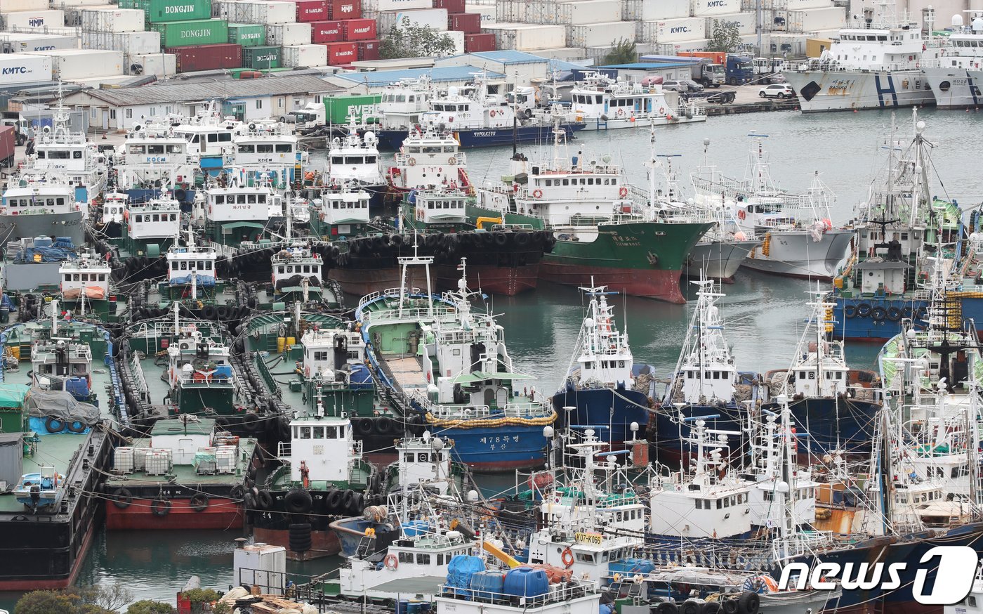 본문 이미지 - 제14호 태풍 '난마돌' 이 북상 중인 18일 부산 동구 부산항 제5부두에 선박들이 피항해 있다. 2022.9.18/뉴스1 ⓒ News1 김영훈 기자