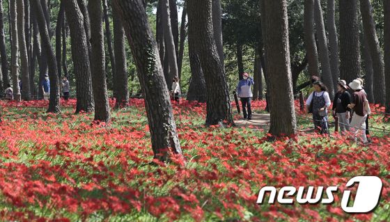울산 동구 대왕암 공원. /뉴스1 © News1 DB