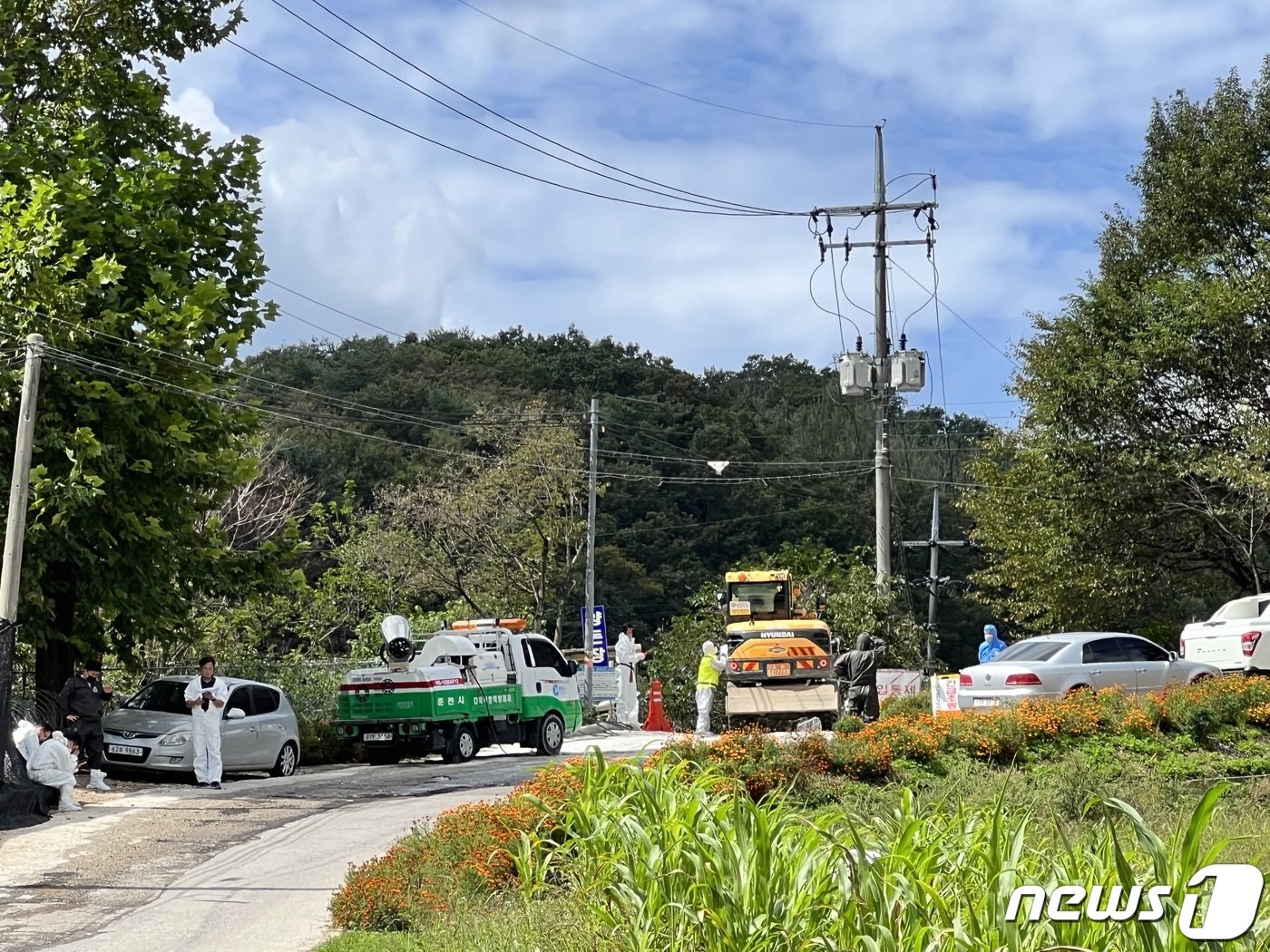 20일 강원 춘천시 동산면의 한 양돈농가에서 아프리카돼지열병이 발생하자 방역당국이 농가 출입 차량들을 일일이 확인하고 있다.&#40;뉴스1 DB&#41;