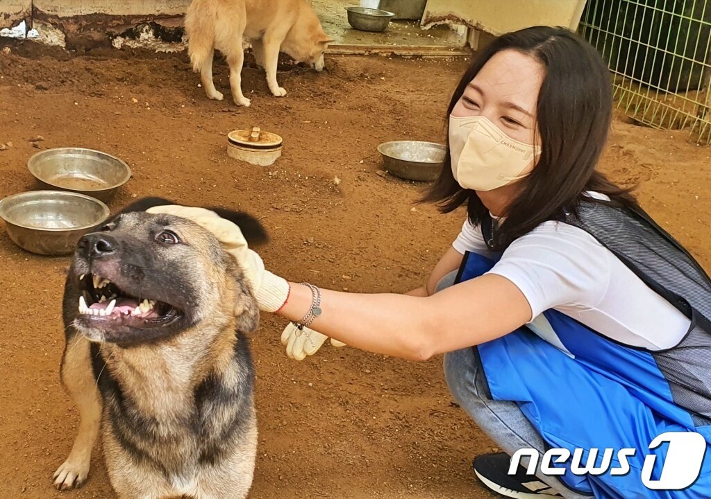 본문 이미지 - 경기도수의사회와 내추럴발란스 블루엔젤봉사단은 18일 경기 용인시 내 행강 동물보호소에서 봉사활동을 진행했다. ⓒ 뉴스1 최서윤 기자