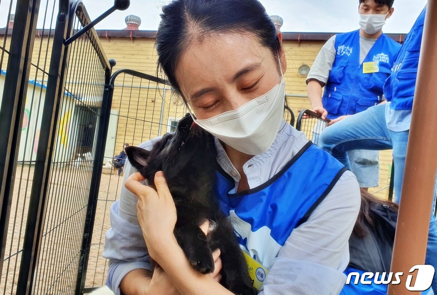 본문 이미지 - 경기도수의사회와 내추럴발란스 블루엔젤봉사단은 18일 경기 용인시 내 행강 동물보호소에서 봉사활동을 진행했다. ⓒ 뉴스1 최서윤 기자