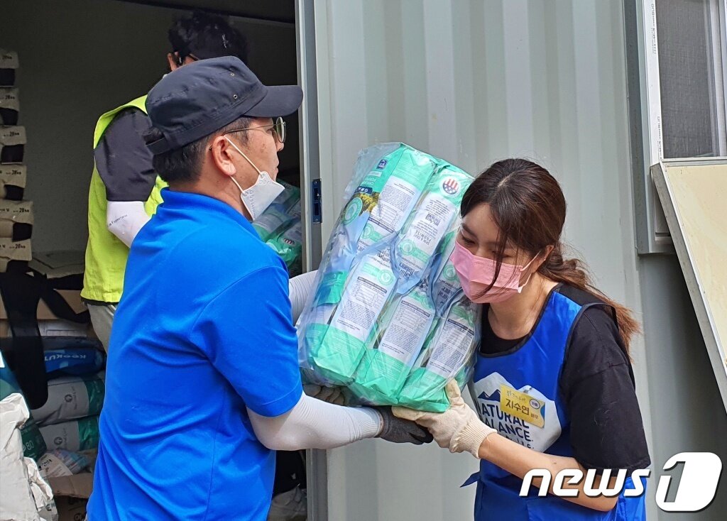 본문 이미지 - 경기도수의사회와 내추럴발란스 블루엔젤봉사단은 18일 경기 용인시 내 행강 동물보호소에서 봉사활동을 진행했다. ⓒ 뉴스1 최서윤 기자