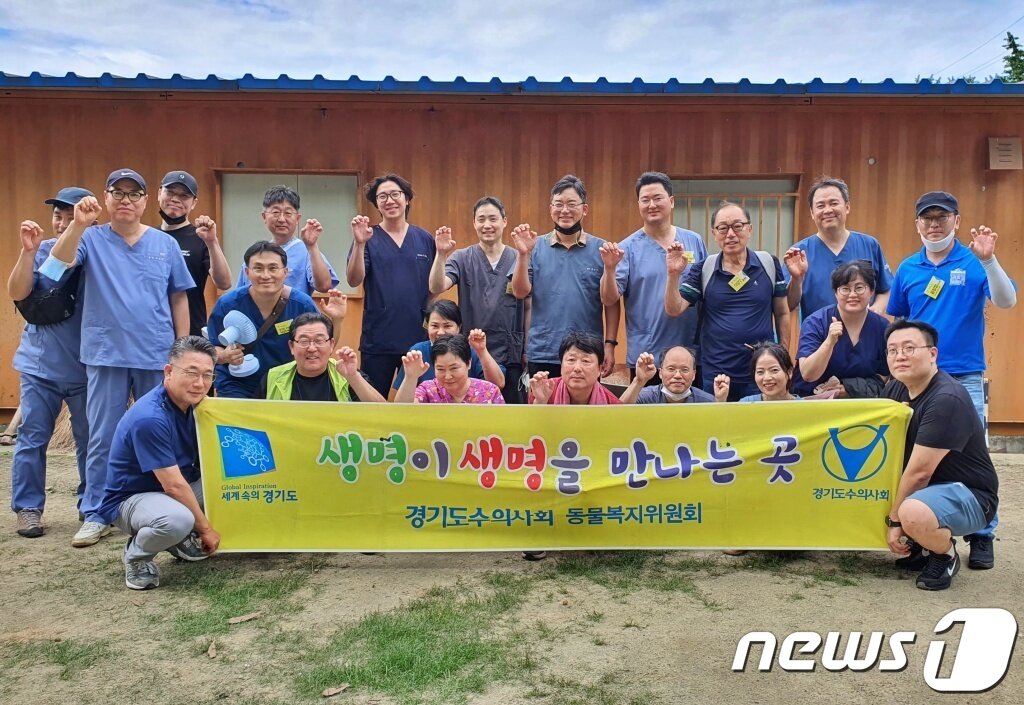 본문 이미지 - 경기도수의사회와 내추럴발란스 블루엔젤봉사단은 18일 경기 용인시 내 행강 동물보호소에서 봉사활동을 진행했다. ⓒ 뉴스1 최서윤 기자