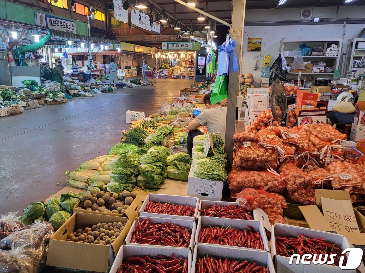 23일 서울 마포구 마포 농수산물 시장에서 상인이 앉아 휴대폰을 보고 있다. ⓒNews1 신윤하 기자.